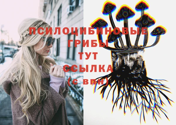 альфа пвп Бородино