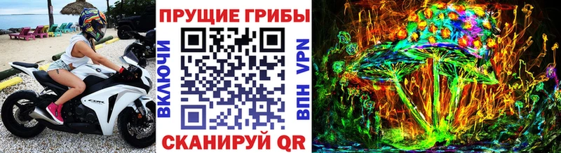 Галлюциногенные грибы мицелий как найти закладки Салават